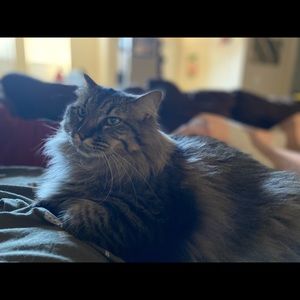 Meet your Posher, Kathryn